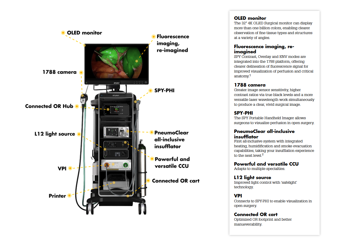 Endoscopy