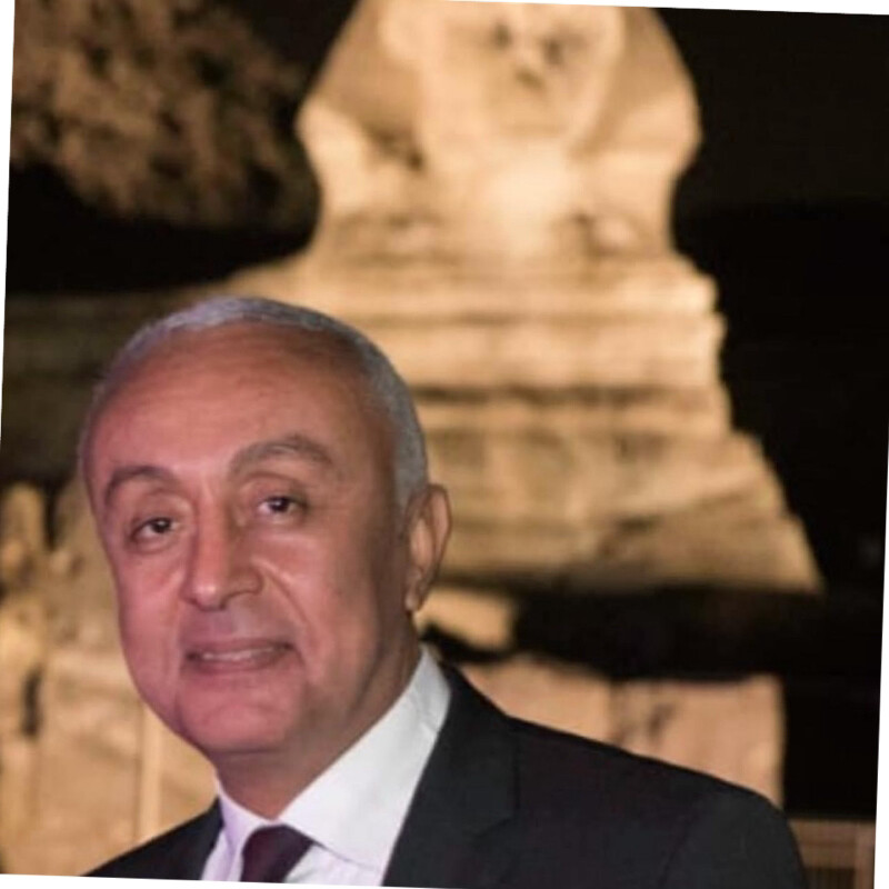 Dr. Mohsen Merghany